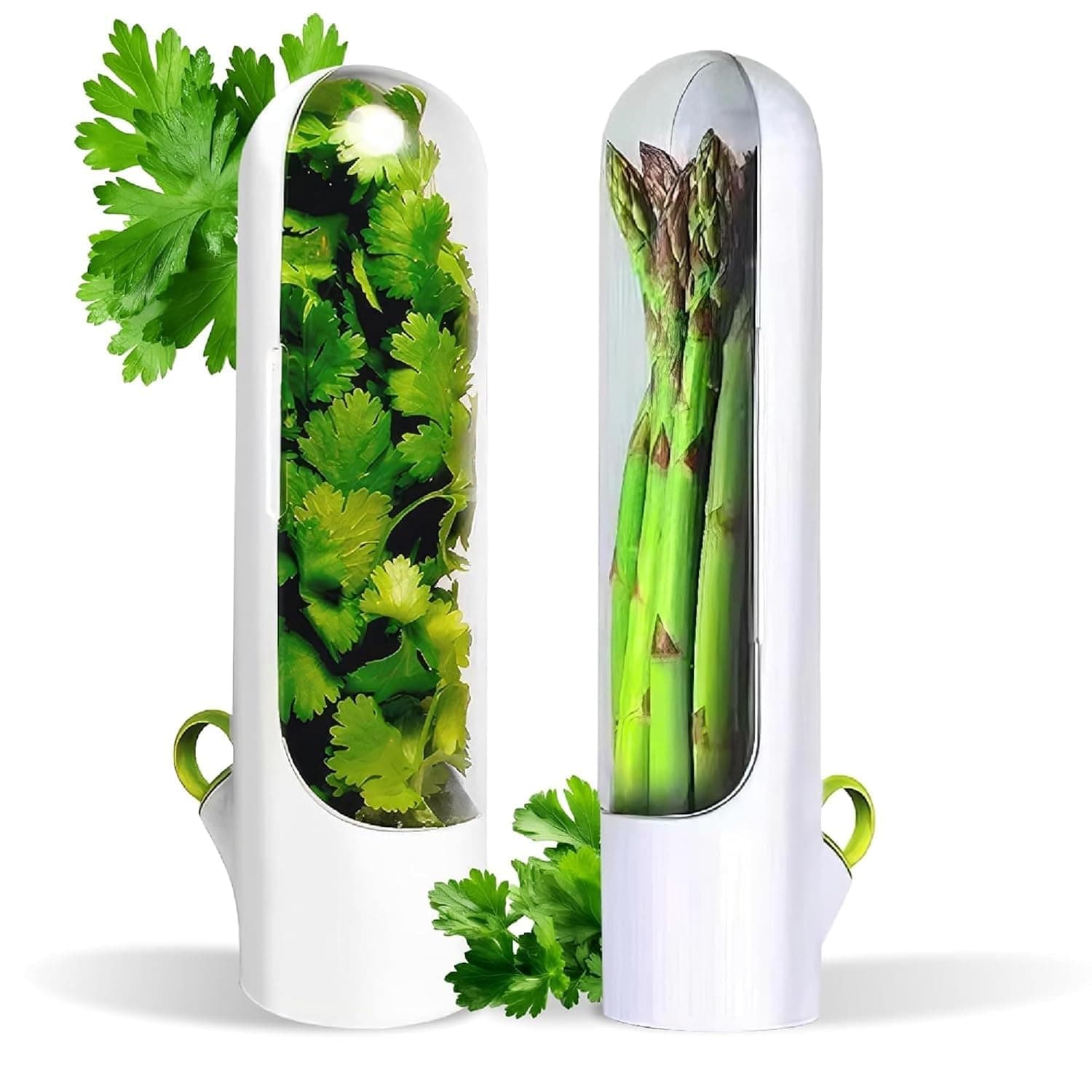 Fresh Vegetable Fresh-keeping Container